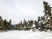 Parc national du Mont-Mégantic -Secteur de l'Observatoire